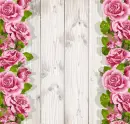 Spring ~ Background