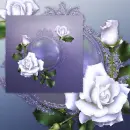 Spring ~ Background