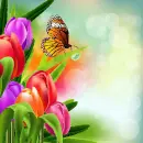 Spring ~ Background