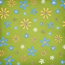 Spring ~ Background