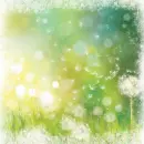 Spring ~ Background