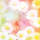 Spring ~ Background