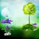 Spring ~ Background