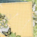 Spring ~ Background