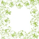 frame with lilies