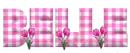SPRING GIFT - BELLE