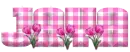 SPRING GIFT - JAYA