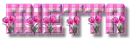 SPRING GIFT - MIETTA