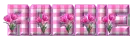 SPRING GIFT - ROBBIE