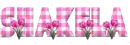 SPRING GIFT - SHAKELA