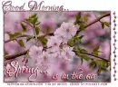 GOOD MORNING.. SPRING IS IN THE AIR, FLOWERS, TEXT