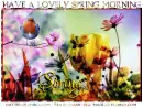 HAVE A LOVELY SPRING MORNING, FLOWERS, SPRING, TEXT