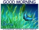 GOOD MORNING.. SPRING, BUTTERFLY, TEXT