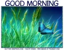 GOOD MORNING, BUTTERFLY, NATURE, TEXT