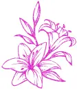 lilies