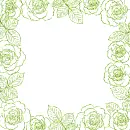 frame of roses