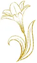 lily