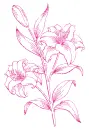 lilies