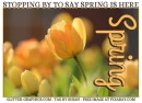 STOPPING BY TO SAY SPRING IS HERE