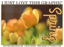 I LOVE THIS GRAPHIC, FLOWERS, TULIP, TEXT