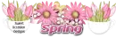 Spring Divider