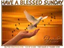 HAVE A BLESSED SUNDAY