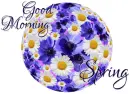 GOOD MORNING SPRING, FLOWERS, DAISY, TEXT