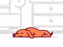 sleeping dog