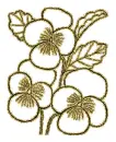 pansies