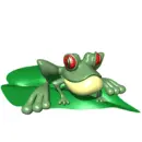 frog
