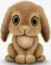 brown bunny