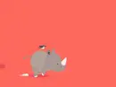 baby rhino