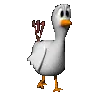 chick walking