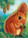 squirrel