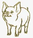 pig