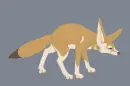 fennec