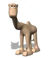 camel