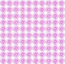 background of daisies