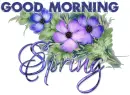 GOOD MORNING SPRING, SEASONAL, FLOWERS, TEXT
