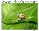 Aww.. that's so cute, SNAIL, GG RELATED, TEXT
