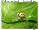 Welcome Back.. i missed you