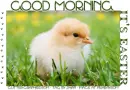 GOOD MORNING.. IT'S EASTER, CHICK, EASTER, TEXT