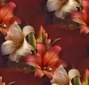 lilies