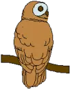 brown owl