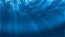 ocean
