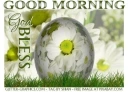 GOOD MORNING & GOD BLESS, EASTER, HOLIDAYS, DAISIES, TEXT