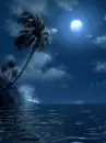 moon in night