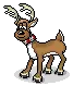 reindeer