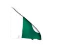 Pakistan flag