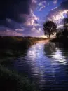 animation